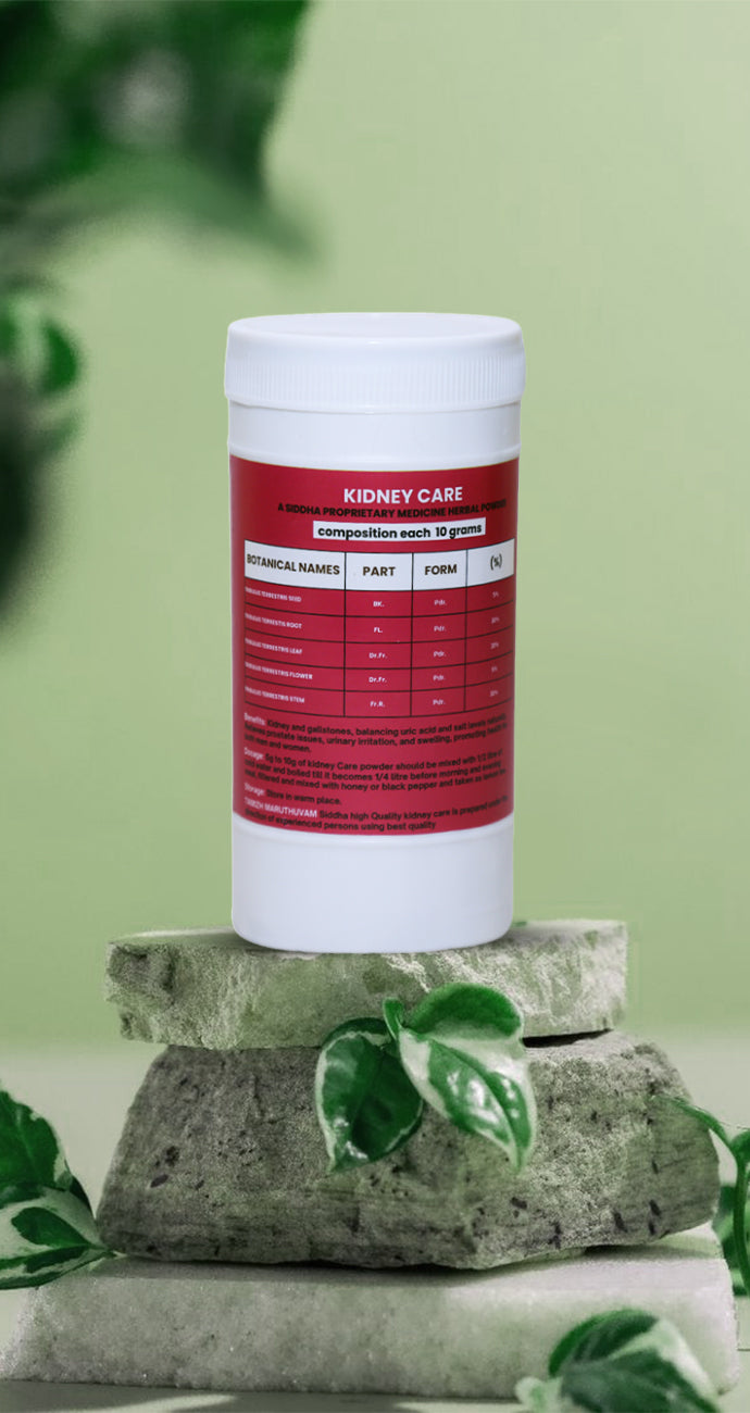 Kidney Care (300gm Powder)